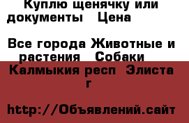 Куплю щенячку или документы › Цена ­ 3 000 - Все города Животные и растения » Собаки   . Калмыкия респ.,Элиста г.